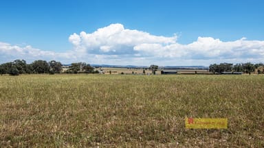 Property 215 Black Lead Lane, Gulgong NSW 2852 IMAGE 0