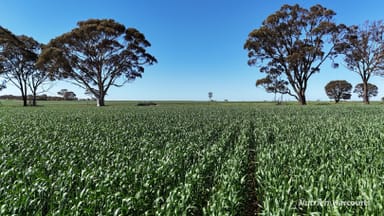 Property 5670 Soldiers Road, West Holleton WA 6369 IMAGE 0