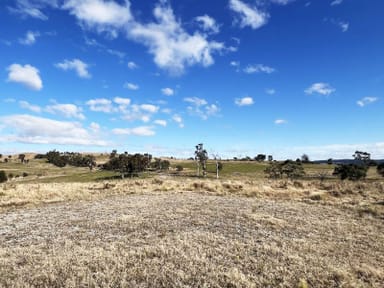 Property Lot 160 Hanworth Road, Bannaby NSW 2580 IMAGE 0