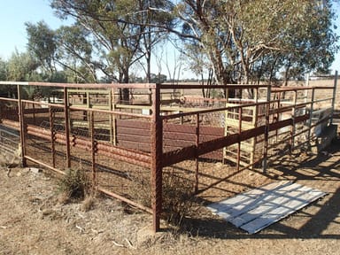 Property 5427 Slaughterhouse Road, Rutherglen VIC 3685 IMAGE 0