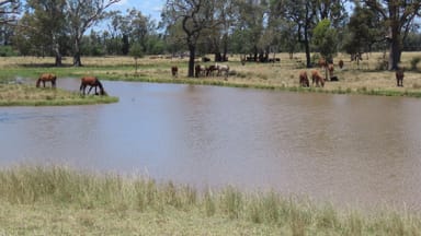 Property Mooroobie Lane, Goondiwindi QLD 4390 IMAGE 0