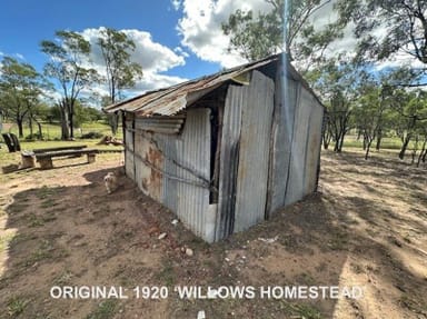 Property 1 Golden Willow Dr, Willows QLD 4702 IMAGE 0