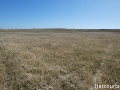 Property Yarto - Speed Road Speed Road, Patchewollock VIC 3491 IMAGE 0