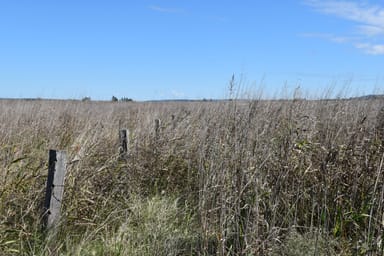 Property LOT 27 0 SPRING CREEK ROAD, CLIFTON QLD 4361 IMAGE 0