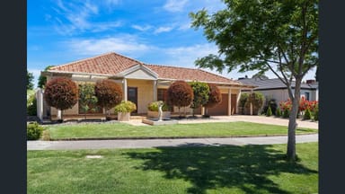 Property 12 Yale Court, Wangaratta VIC 3677 IMAGE 0