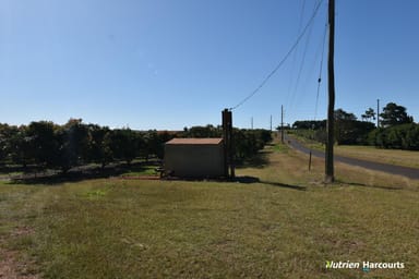 Property Lot 1 Huxley Road, North Isis QLD 4660 IMAGE 0