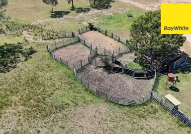 Property Severn Downs,, Ashford NSW 2361 IMAGE 0