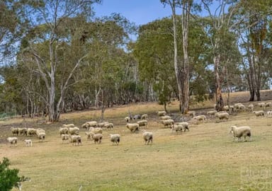 Property 1825 McCallums Creek Road, Dunach VIC 3371 IMAGE 0