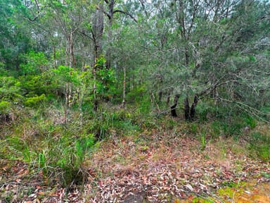 Property Lot 2555 Market Way, North Arm Cove NSW 2324 IMAGE 0