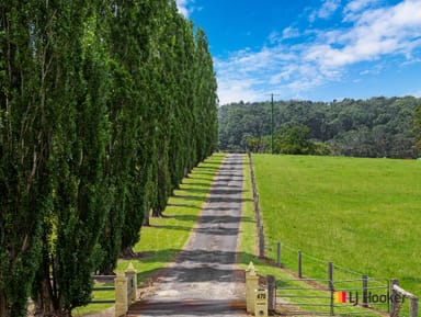 Property 470 Larrys Mountain Road, MOGENDOURA NSW 2537 IMAGE 0