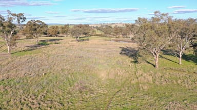 Property Lot 5 Warral-Bithramere Road, TAMWORTH NSW 2340 IMAGE 0