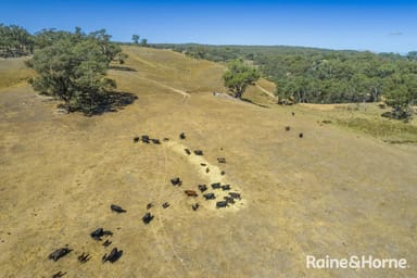 Property Corner of Goldfields & Kyneton Road, METCALFE VIC 3448 IMAGE 0