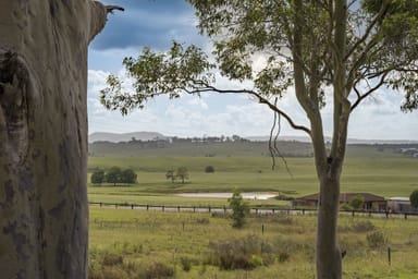 Property Lot 223 Hawk Crescent, Lower Belford NSW 2335 IMAGE 0