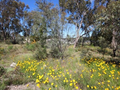 Property Lot 2 Calvert Road, GLEN APLIN QLD 4381 IMAGE 0