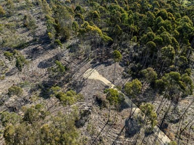 Property 3 & 4 Delantys Road, Birralee TAS 7303 IMAGE 0