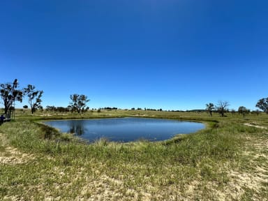 Property 5227 Carnarvon Highway, Roma QLD 4455 IMAGE 0