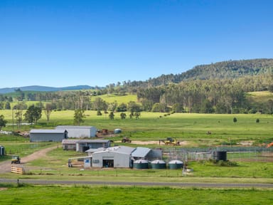 Property 119 Duck Creek Road, Old Bonalbo NSW 2469 IMAGE 0