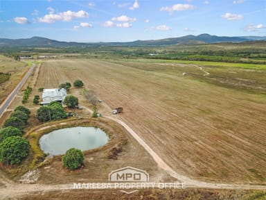 Property 523 Mutchilba Road, MUTCHILBA QLD 4872 IMAGE 0