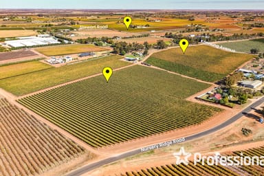 Property 225 Stewart Road, Red Cliffs VIC 3496 IMAGE 0