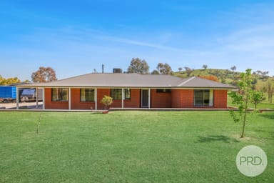 Property 175 Martins Lane, PIALLAMORE NSW 2340 IMAGE 0