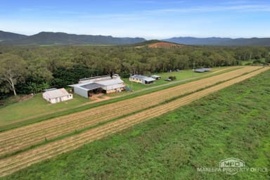 Property 237 Chisari Road, MUTCHILBA QLD 4872 IMAGE 0