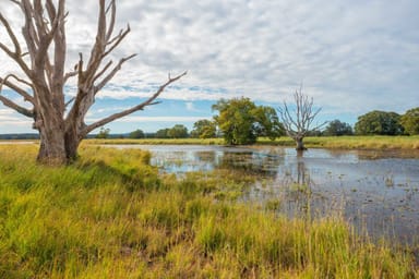 Property LOT 1 HURSLEY ROAD, REDBANK NSW 2446 IMAGE 0