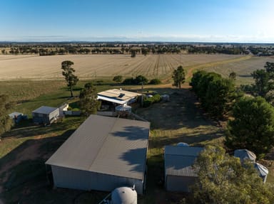 Property 635 Curries Lane, Milbrulong NSW 2656 IMAGE 0