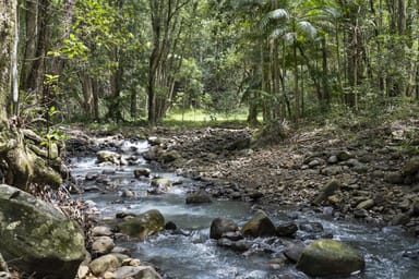 Property 2038 Numinbah Road, Numinbah, NUMINBAH NSW 2484 IMAGE 0