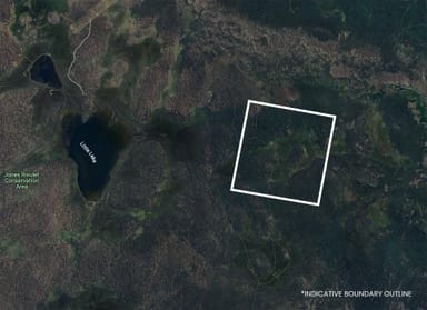 Property 331L Arthurs Lake Road, ARTHURS LAKE TAS 7030 IMAGE 0