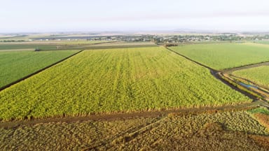 Property 20 Colevale Road, Brandon QLD 4808 IMAGE 0