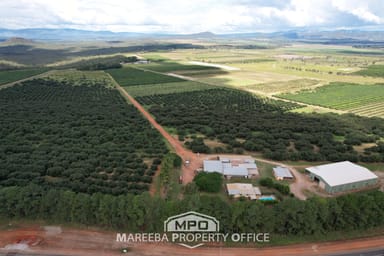 Property 1463 Mareeba-Dimbulah Road, ARRIGA QLD 4880 IMAGE 0