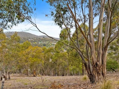 Property 193 Forest Road, West Hobart TAS 7000 IMAGE 0