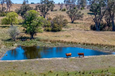 Property 103 Elmgrove Road, Pejar NSW 2583 IMAGE 0