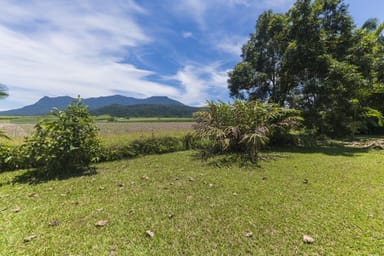 Property 338 Bartle Frere Road, Bartle Frere QLD 4861 IMAGE 0