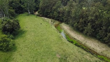 Property 3643 Taylors Arm Rd, Burrapine NSW 2447 IMAGE 0