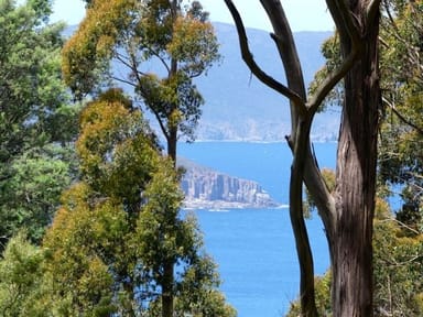 Property Lot 2 Lookout Road, Port Arthur TAS 7182 IMAGE 0