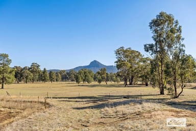 Property 4 Hill Street, The Rock NSW 2655 IMAGE 0