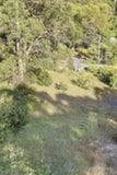 Property 16 Gordon Avenue, Tecoma VIC 3160 IMAGE 0