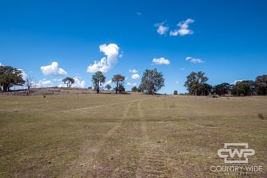 Property 1, - Emmaville Rd, EMMAVILLE NSW 2371 IMAGE 0