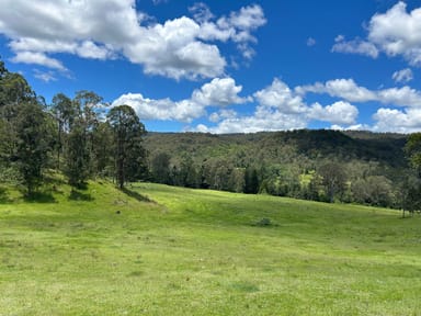 Property 825 Duck creek Road, Duck Creek NSW 2469 IMAGE 0