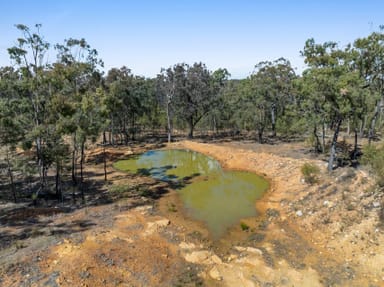 Property Lot 4 Harrigan Road, SANDY CAMP qld 4361 IMAGE 0