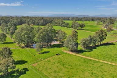 Property 1613 Wangaratta Whitfield Road, Docker VIC 3678 IMAGE 0