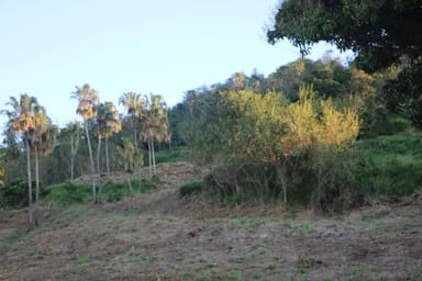 Property Lot 18 Ridgewood Drive, FARLEIGH QLD 4741 IMAGE 0