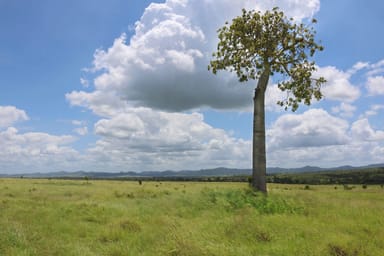 Property 10 Donovan Rd, Wycarbah QLD 4702 IMAGE 0