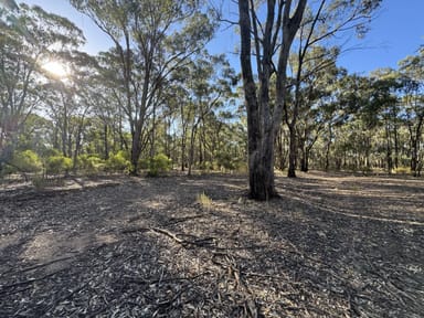 Property 0 Poulson Road, Rushworth VIC 3612 IMAGE 0