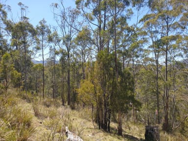 Property Lot 9 Bull Oak Way, GROVE TAS 7109 IMAGE 0