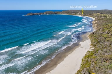 Property Lot 4 Blowhole Road, Eaglehawk Neck TAS 7179 IMAGE 0