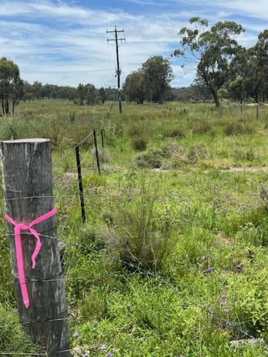 Property Proposed Lot 3 Cactus Ridge Road, Cunningham QLD 4370 IMAGE 0