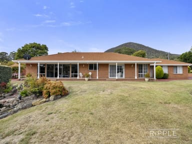 Property 31 Penenjou Road, Otago TAS 7017 IMAGE 0