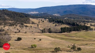 Property 362 Kain Cross Road, Krawarree NSW 2622 IMAGE 0